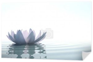 Zen kwiat loto w wodzie