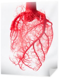 Układ naczyń krwionośnych serca