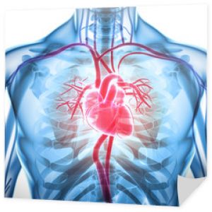 3D ilustracja serca, koncepcja medyczna.