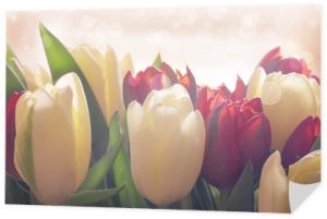 Delikatny bukiet tulipanów, pastelowe kolory