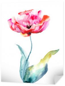 Kolorowe kwiaty tulipanów