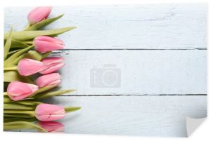 piękne różowe tulipany