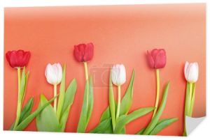 Piękne tulipany przetargu