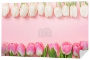 różowe i białe tulipany są ułożone w rzędach na różowym tle z miejsca kopii
