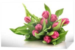różowe tulipany