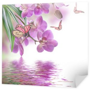 Kwiatowe tło tropikalnych storczyków i motyli