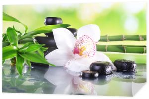 Kamienie spa, gałęzie bambusa i biała orchidea