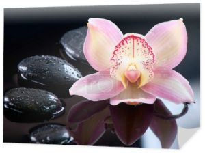 Zen kamienie i orchidea kwiat. Masaż kamieniami