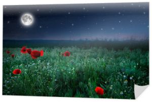 Piękne pole makowe w nocy i pełnia księżyca