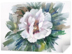 Kolekcja kwiatów akwarelowych: biały mak