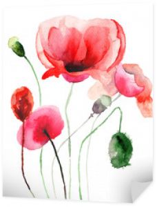 Ilustracja stylizowane kwiaty maku