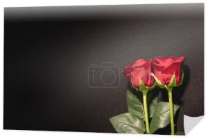 dwie czerwone róże na czarnym tle, koncepcja pogrzebu