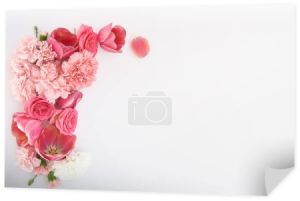 widok z góry różowy wiosenne kwiaty na białym tle z miejsca do kopiowania
