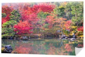 Ogród japoński w okresie jesiennym