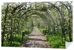 Malowniczy widok na utwardzoną ścieżkę z łukowym drzewem jabłoni przez zielony ogród krajobrazowy w stylu angielskim