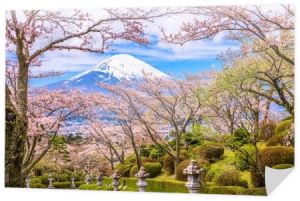 Góra Fuji na wiosnę