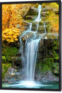 Krajobraz wodospad w żółty jesienny Las