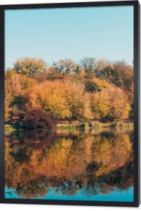 Złote drzewa w lesie autumnal i spokojne jezioro