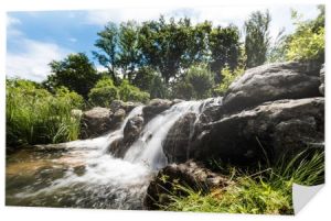 para wodna płynąca na mokrych kamieniach w pobliżu zielonych drzew w parku 