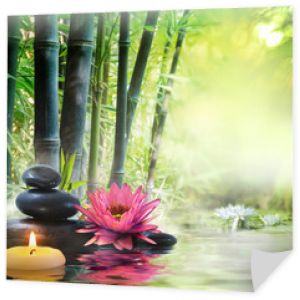 masaż w naturze - lilia, kamienie, bambus - koncepcja zen