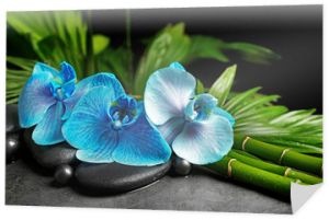 Piękna kompozycja spa z niebieską orchideą, bambusem i kamieniami