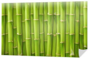zielone bambusowe tło