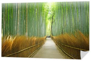 bambusowy rowek