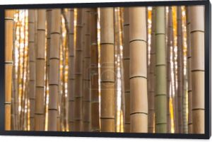 wzór z bambusowym lesie jesienią
