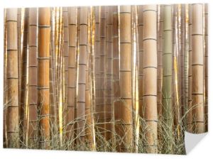wzór żółty bambusowy Las jesienią