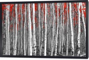 Czerwony drzew w surrealistyczne biało-czarny Las Krajobraz sceny