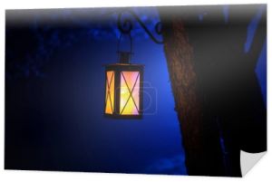 Piękne kolorowe podświetlane lampy w ogrodzie w mglistej nocy. Styl retro latarnia nocą odkryty. Selektywny fokus