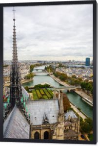 aerial view from Notre Dame de Paris