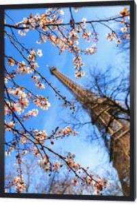 Piękny różowy kwiat drzewa przed wieżą Eiffla w zimowy dzień błękitnego nieba w Paryżu