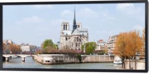 Paryż Katedra notre dame panorama