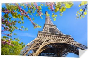 Wieża Eiffla z drzewa wiosna w Paryżu, Francja