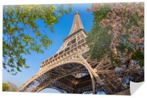 Wieża Eiffla w czasie wiosny w Paryż, Francja