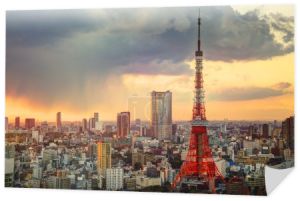 Wieża Tokio i panoramę
