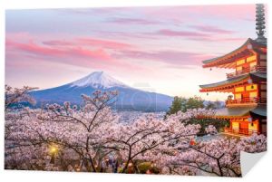 Góra Fuji i czerwona pagoda Chureito z kwiatem wiśni sakura o zachodzie słońca