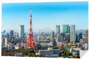 Wieża Tokio, Japonia - Tokio miasto i gród