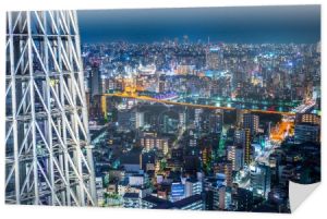 Koncepcja biznesowa Azji nieruchomości i firmy budowlane - panoramiczny miejskich skyline ptaka pod Zmierzch niebo i neon noc w Tokio, Japonia