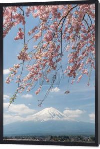 Sakura, cherry blossom i Mt. Fuji Kawaguchiko jezioro, Japonia w sezonie wiosennym