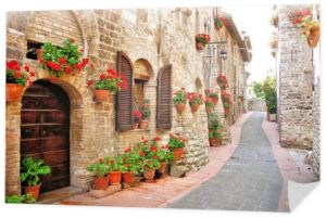 Ulica z kwiatami w mieście Assisi, Włochy