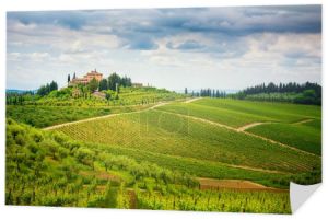 Chianti wzgórza z winnicami i cyprysem. Krajobraz Toskanii między Sieną a Florencją. Włochy