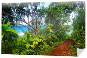 Widok na słynny szlak Kalalau wzdłuż wybrzeża Na Pali na wyspie Kauai
