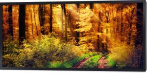 Piękny las jesienią, promienie światła padają na leśną ścieżkę