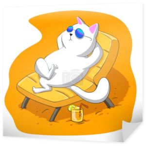 kot na leżaku