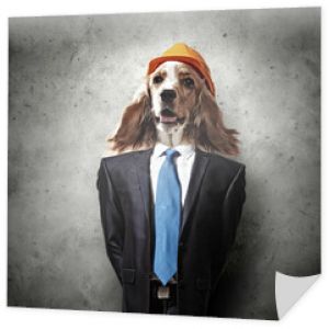 Zabawny portret psa w garniturze