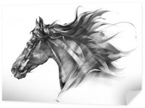 szkic boczny portret profilu konia na białym tle
