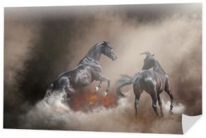 Dwa czarne niebezpieczne konie skaczące w burzy piaskowej i ogniu