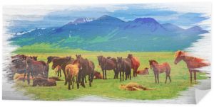 Stado koni w górach na Islandii, malarstwo akwarela
